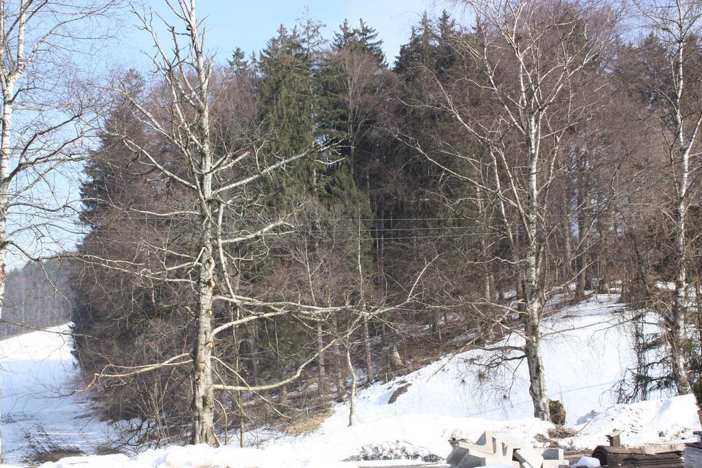 Ferienwohnungen Neukirchen Neukirchen am Teisenberg Dış mekan fotoğraf