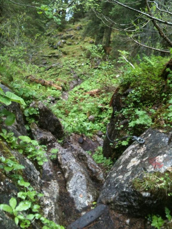 Ferienwohnungen Neukirchen Neukirchen am Teisenberg Dış mekan fotoğraf